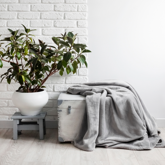 Heated Blankets: Not Just for Winter!