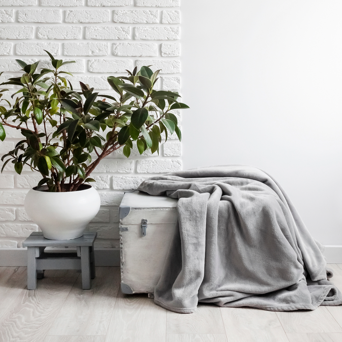 Heated Blankets: Not Just for Winter!